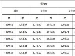 和谐倍护金生终身护理保险费率表8页.docx