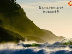保险公司花海星空大海模板庆生早会14页.pptx