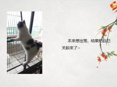 每日快乐早会23年3月24日使用12页.pptx