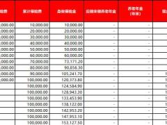 信泰如意永享养老年金保险计划书.xlsx