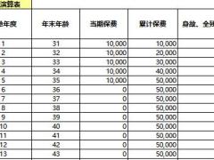 中荷人寿安家宝司庆版终身寿险计划书.xlsx