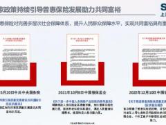 2023普惠保险创新实践与思考29页.pdf