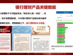 储蓄关键数据产品认识意识和身份的转换两个重点29页.pptx