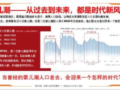 长寿时代下的养老危机商业养老保险的特性43页.pptx