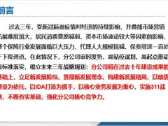 保险公司战略制定背景实施认知达成路径落地关键47页.pptx