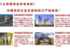 工银安盛盛享颐年养老年金保险产品保险责任基本信息投保规则19页.pptx
