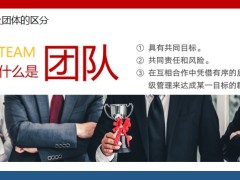 团队及群体的区分构成要素凝聚力23页.pptx
