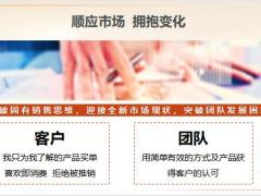 太平百万行无忧2.0产品逻辑形态六个原因15页.pptx