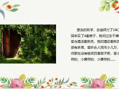 每日快乐早会23年3月30日使用12页.pptx