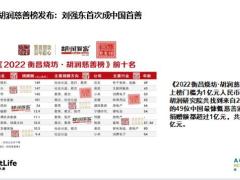 大都会鑫享安鑫财富的第三次分配17页.pptx