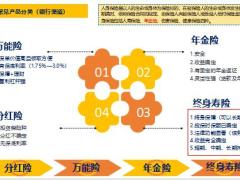 2023终身寿险讲解资产配置逻辑19页.pptx