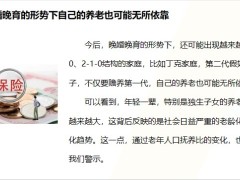 2023养老年金解决独生子女家庭的双重养老困境18页.pptx
