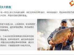 每日健康5种鱼中老年人尽量少吃尤其第4种味道再好也不要贪嘴8页.pptx
