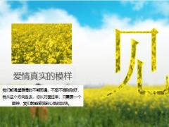 油菜花田旅行游记工作总结PPT模板23页.pptx