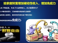爱心人寿映山红2.0终身寿险介绍规则案例演示35页.pptx