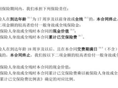 信泰如意尊星火版终身寿险条款11页.pdf