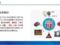 禁毒知识反洗钱定义特征意义警惕陷阱毒品洗钱特点案例分析手段分析24页.pptx