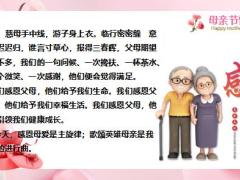 保险公司母亲节为母亲投保联谊会活动流程28页.pptx