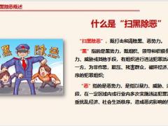 扫黑除恶概述违法犯罪活动的几大类保险行业扫黑除恶典型案例31页.pptx