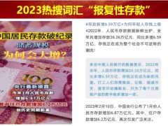 理财产说会主讲星级客户钻石品鉴会中国人寿王者C账5大承诺版53页.pptx
