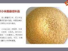 每日健康爱吃这种食物的人极少生病12页.pptx