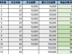 弘康人寿共庆余年含万能计划书.xlsx