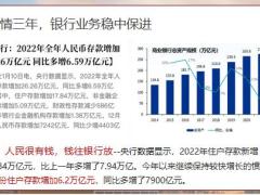 新华人寿鑫荣耀十年期销售理念篇21页.pptx