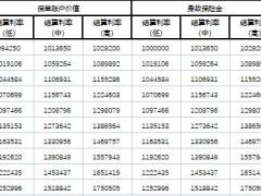 中韩人寿尊耀一生臻享版盛世金尊保险产品组合季计划书.xlsx