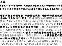 上市险企2022年年报综述价值见底复苏可期26页.pdf