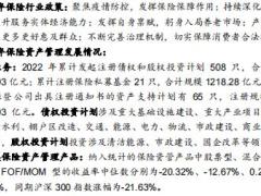2022保险资产管理年度报告扎根主业抢滩蓝海逐鹿大资管时代40页.pdf