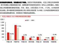 2022年报综述改革成效逐步印证轻装上阵前景可期21页.pdf