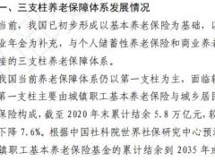 2022中国商业养老保险发展现状13页.pdf