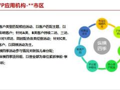 续期总结ICVP对客经发展的重要意义实践中机构个人因需赋形三大逻辑32页.pptx