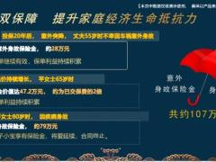 太平岁寿年丰终身寿险开发背景产品特色案例演示费率数据32页.pptx