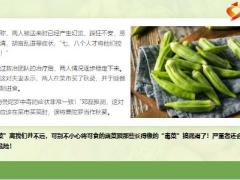 每日健康野菜绝不能乱吃菜市场毒蔬菜排名15页.pptx