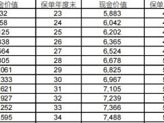 国寿相伴福重大疾病保险惠享版现金价值费率.zip