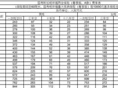 国寿附加相伴福两全保险尊享版A款现金价值费率.zip