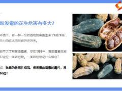 每日健康发霉的花生瓜子产生黄曲霉素解毒法不可不知10页.pptx