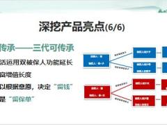 太平岁寿年丰逻辑深挖产品亮点讲解促成18页.pptx