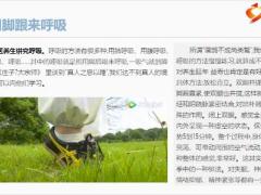 每日健康只需一个动作血液瞬间充满全身轻松打通六条经脉12页.pptx