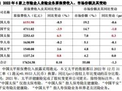 2022年上市保险公司人身险业务财务数据分析25页.pdf