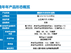 富德生命鑫禧年年养老年金险顶配产客户需求与案例分析29页.pptx