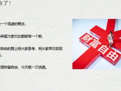 理财专题财富自由了变量讨论情况分析20页.pptx