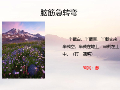每日快乐早会23年5月11日使用12页.pptx