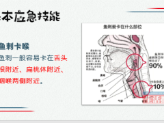 暑期小小安全员基本应急技能亲子活动环节以心交新含备注33页.pptx