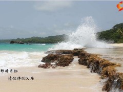 夏天蓝天白云早会流程10页.pptx