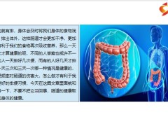 每日健康三天一次大便和一天三次大便哪种肠道更健康9页.pptx