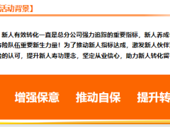 新人有效训练操作手册活动背景流程操作工具27页.pptx