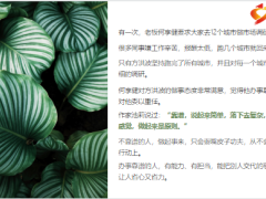 正能量让你脱颖而出的4种底层能力16页.pptx
