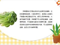 每日健康芹菜叶子可以吃吗很多人或许不清楚听医生怎么讲11页.pptx